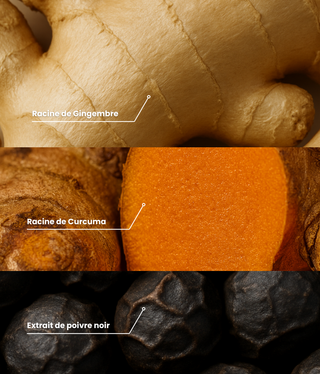 Gummies Gingembre - Najah Nutrition